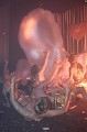 img00069[1]